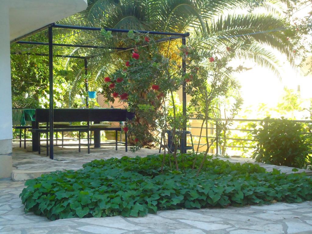 Apartments Villa Petranovic Budva Exterior foto