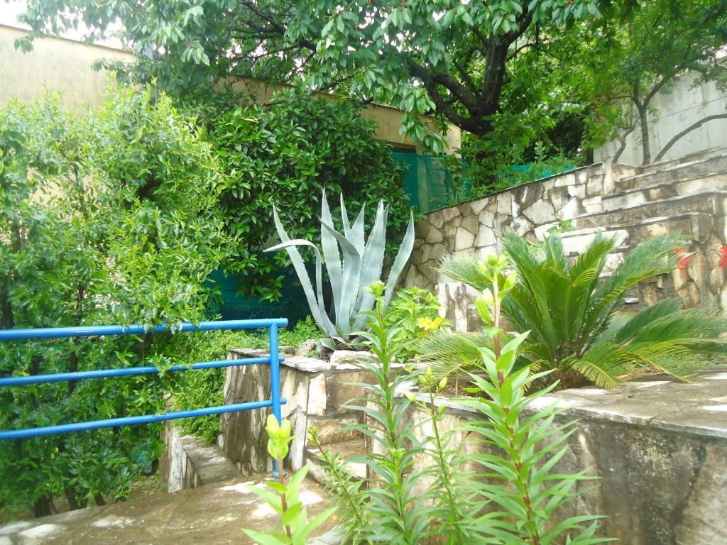 Apartments Villa Petranovic Budva Zimmer foto