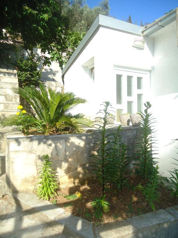 Apartments Villa Petranovic Budva Zimmer foto